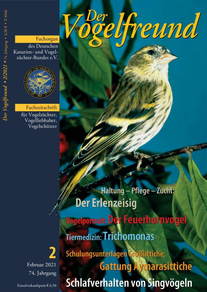 2021-Februar-Vogelfreund