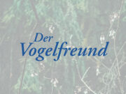 Der Vogelfreund