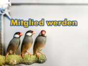 Mitglied werden