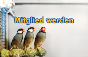 Mitglied werden