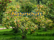 Naturschutz