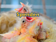 Spenden