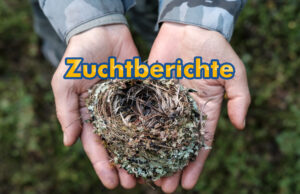 Zuchtberichte