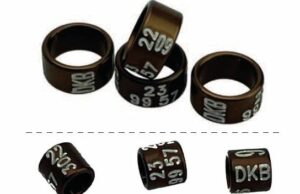 Ringbestellungen Zuchtjahr 2021/2022