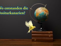 Meilensteine zur Entstehung der Positurkanarienrassen