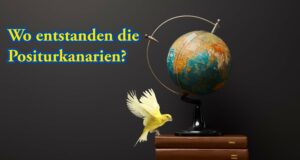 Meilensteine zur Entstehung der Positurkanarienrassen