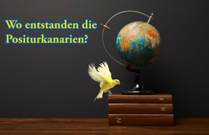 Meilensteine zur Entstehung der Positurkanarienrassen