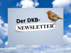 #3 Newsletter vom 06.01.2026