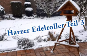 Teil 3. Kanarienzucht, Montage der Nester