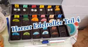 Teil 4. Kanarienzucht Harzer Roller. Die ersten Nester und die ersten Eier