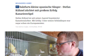 Zeitungsartikel in der Mitteldeutschen Zeitung