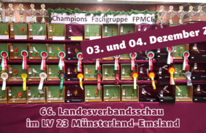 66. Landesverbandsschau des LV23