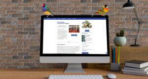 Der DKB in neuem digitalem Gefieder