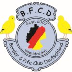 Logo BFCD