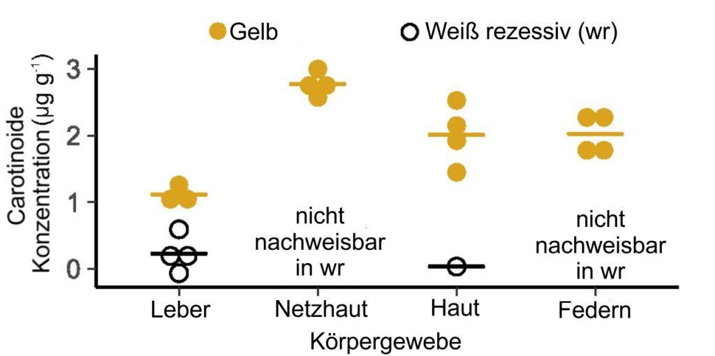 Carotinoid-Konzentrationen