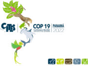 19. CITES-Vertragsstaatenkonferenz in Panama ändert Schutzstatus von vier Vogelarten