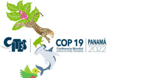 19. CITES-Vertragsstaatenkonferenz in Panama ändert Schutzstatus von vier Vogelarten