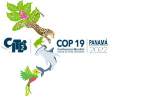 19. CITES-Vertragsstaatenkonferenz in Panama ändert Schutzstatus von vier Vogelarten