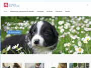 Dr.med.vet. Anja Petersen Tierärztin