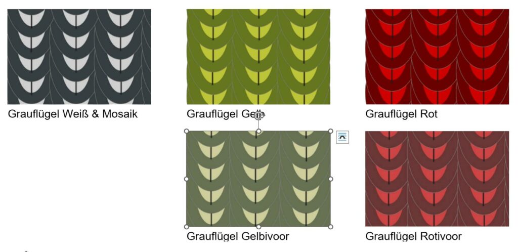 Grauflügel Zeichnungsmuster