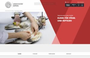 Klinik für Vögel und Reptilien