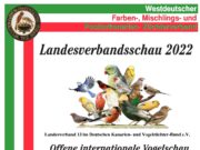 LV13-Landesverbandsschau in NRW am 03.+04.12.2022