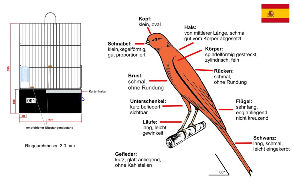 Llarguet Beschreibung