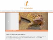 Praxis für Vögel & Reptilien