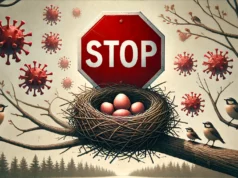 In eigener Sache: Ein sicheres Vogelnest