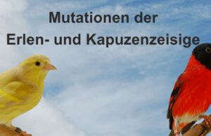 Mutationen der Erlen- und Kapuzenzeisige