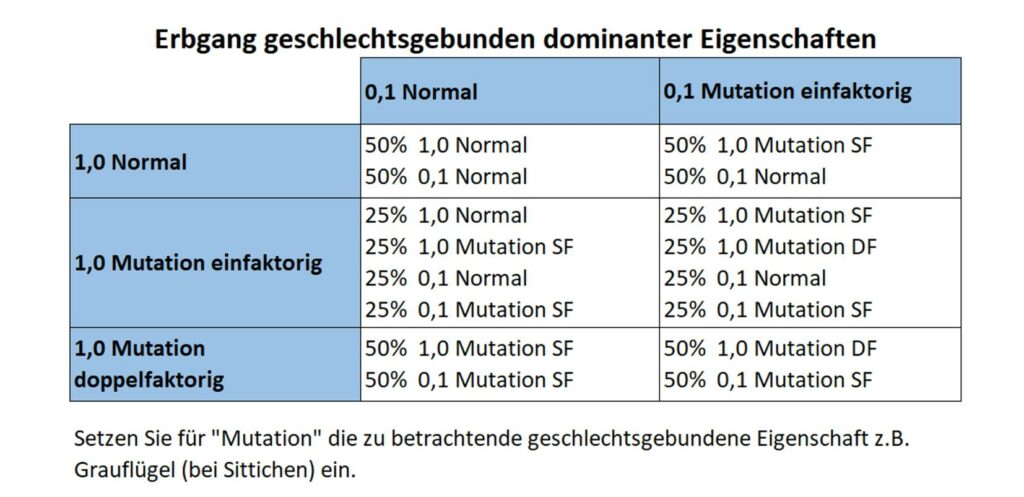 Vererbung SL dominant
