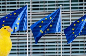 Europäische Kommission erlaubt Impfung gegen Vogelgrippe