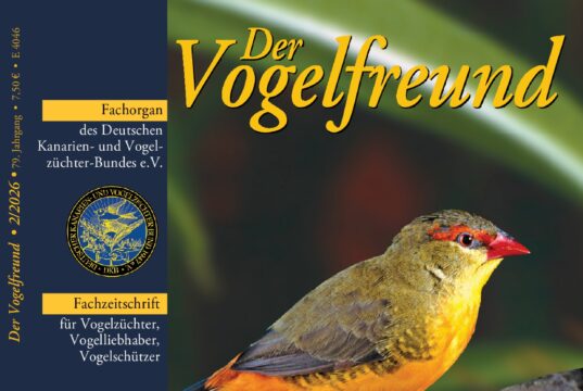 Der Vogelfreund – Februar 2026