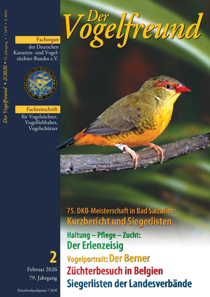 Vogelfrerund_Februar_2026