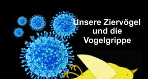 Unsere Ziervögel und die Vogelgrippe