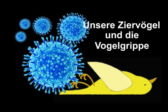 Unsere Ziervögel und die Vogelgrippe
