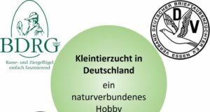 Zusammenarbeit der Kleintierzuchtverbände in Deutschland