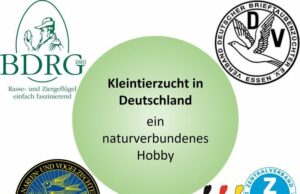 Zusammenarbeit der Kleintierzuchtverbände in Deutschland
