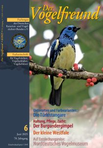 Vogelfreund_Juni_2025