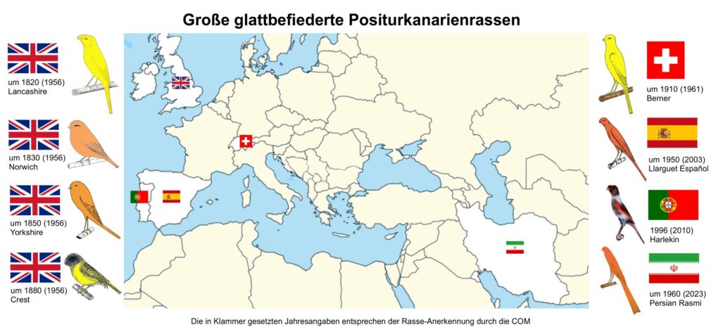 große glatte Rassen