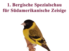 1. Spezialschau für Südamerikanische Zeisige in Wuppertal