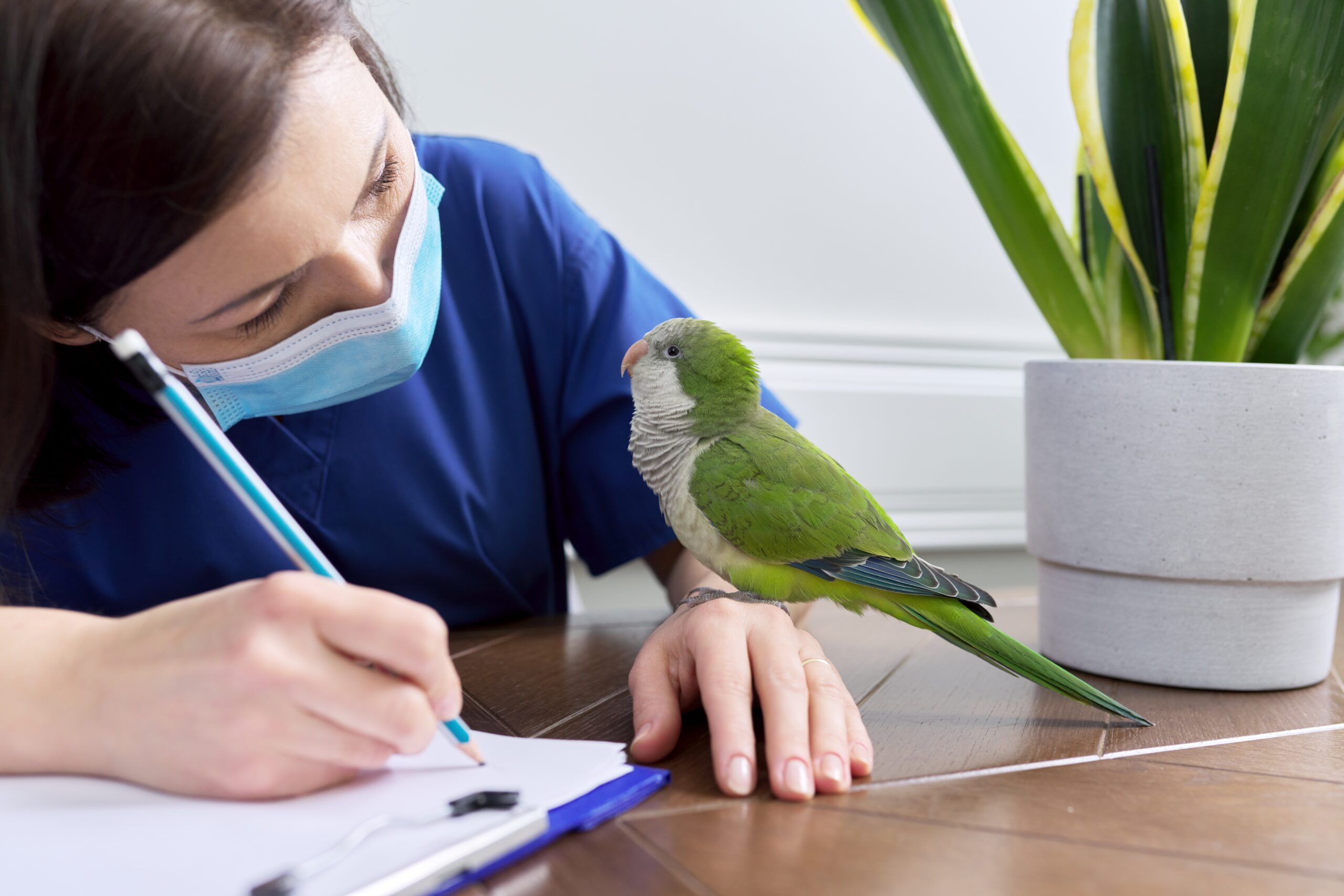 Vogelärzte im PLZ-Bereich 1 - Tierarztverzeichnis