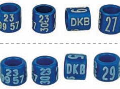 DKB-Ringbestellungen 2022/23