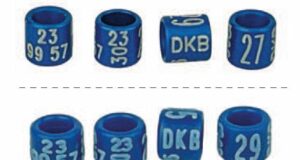 DKB-Ringbestellungen 2022/23