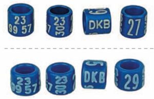 DKB-Ringbestellungen 2022/23