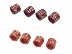 DKB-Ringbestellungen 2023/24